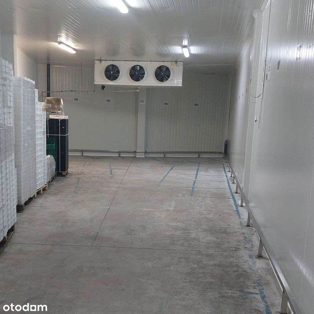 Hala sprzedaż Warszawa Targówek magazyn, chłodnia-16