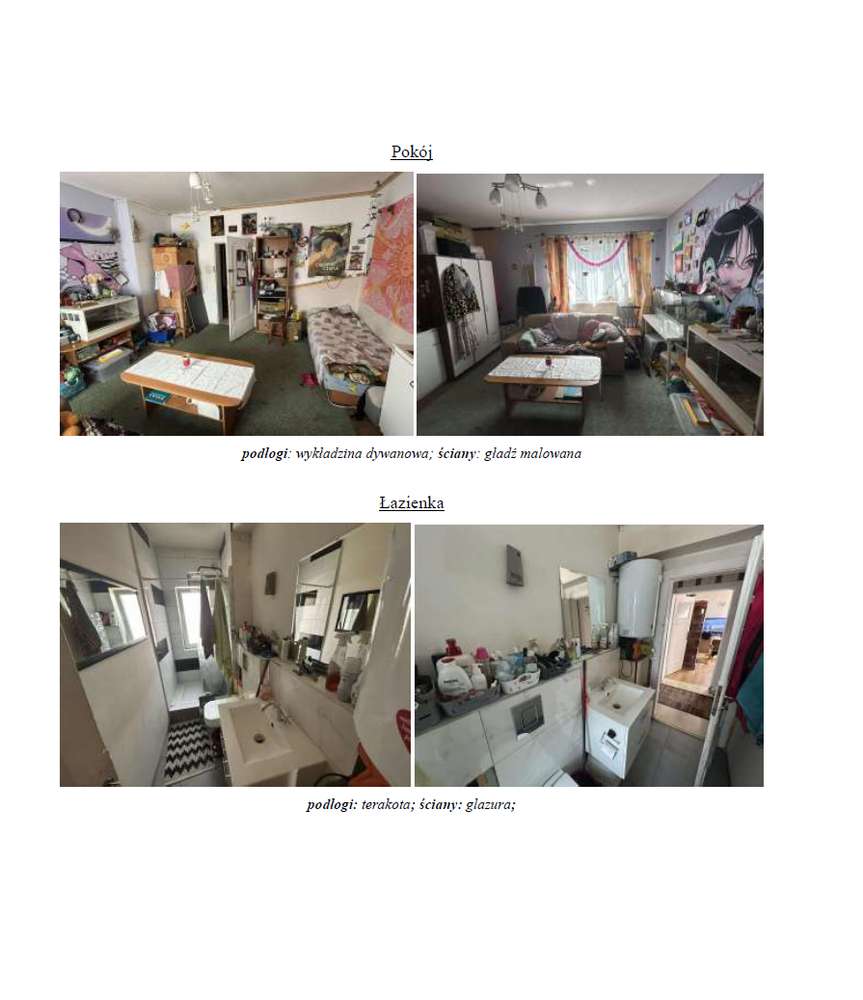 Syndyk sprzeda nieruchomość - Pełny obrazek: 3/12