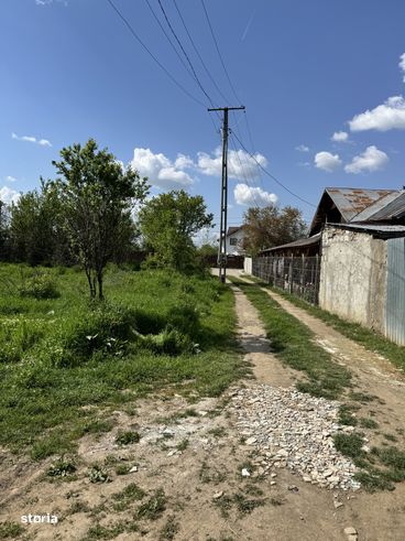 De vânzare teren în Niculesti, Dâmbovița-4