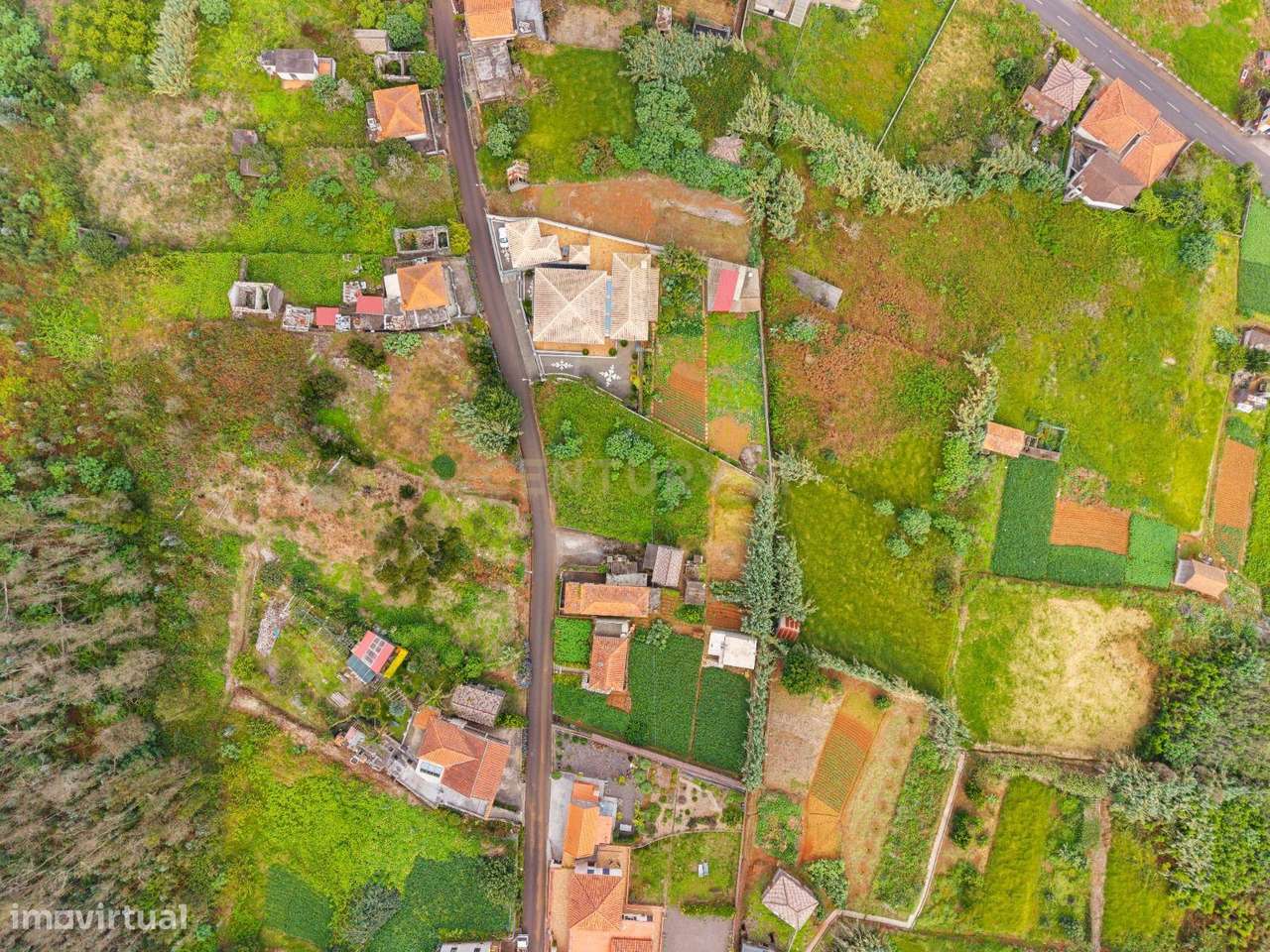 Terreno Plano com Vistas Mar e Natureza Envolvente - Porto Moniz-3