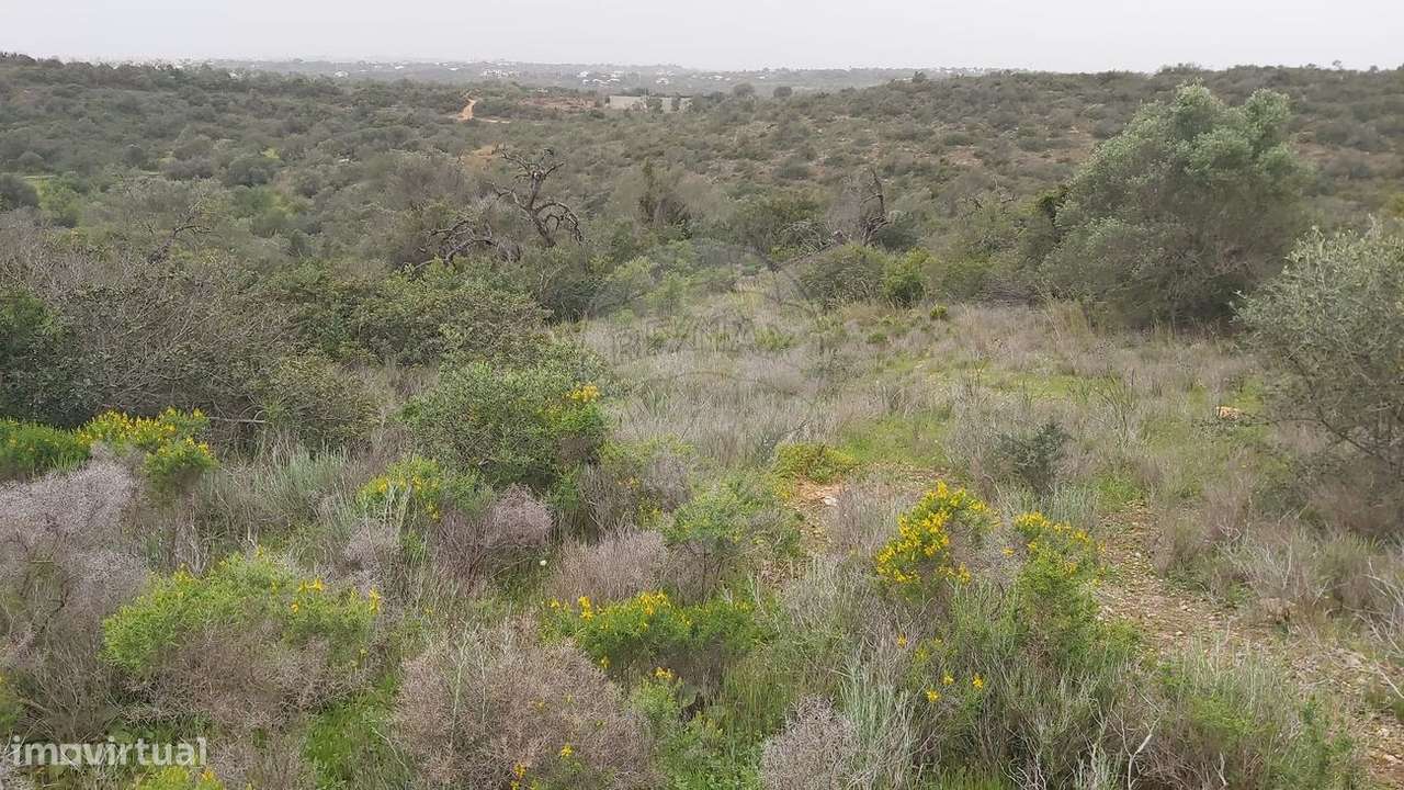 Terreno  para venda - Grande imagem: 5/8