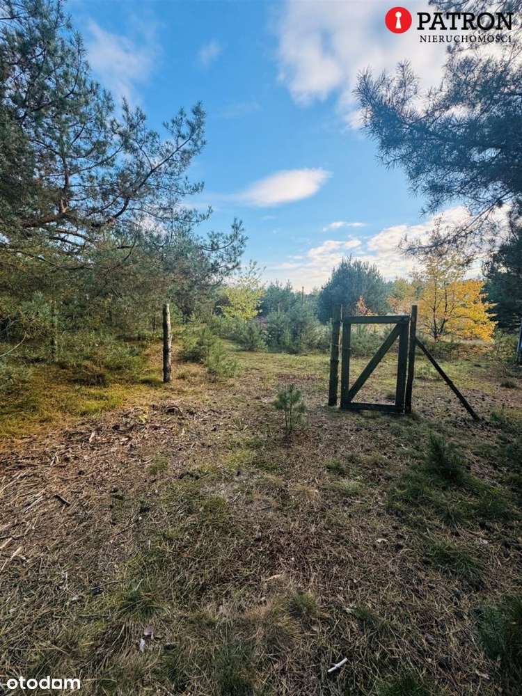 Sprzedam działkę o pow. 2 438 m² w Rurzycy-12