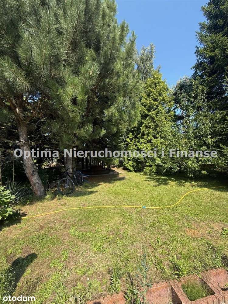 Oferta Najmu – Wilcza, ul. Rybnicka - Pełny obrazek: 4/12