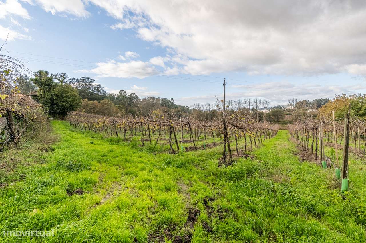 Moradia Senhorial - Felgueiras-29