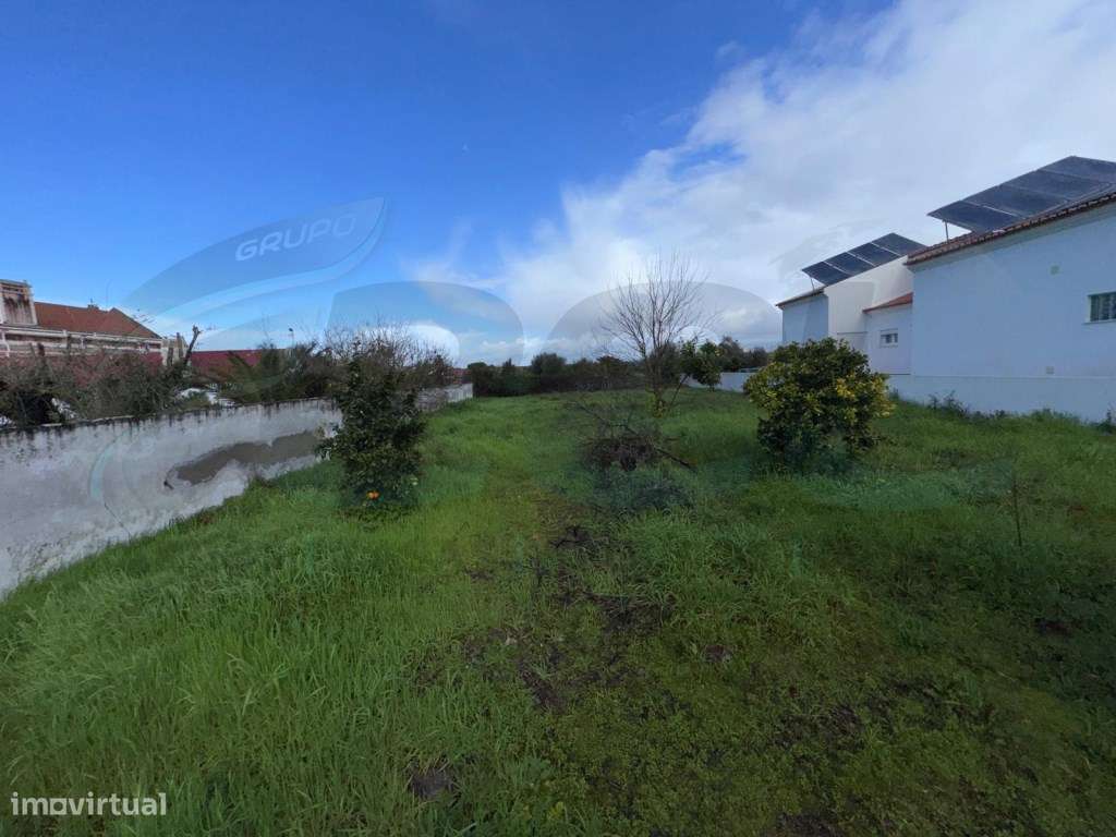 Charme Alentejano numa Moradia T3+2 com Garagem-22