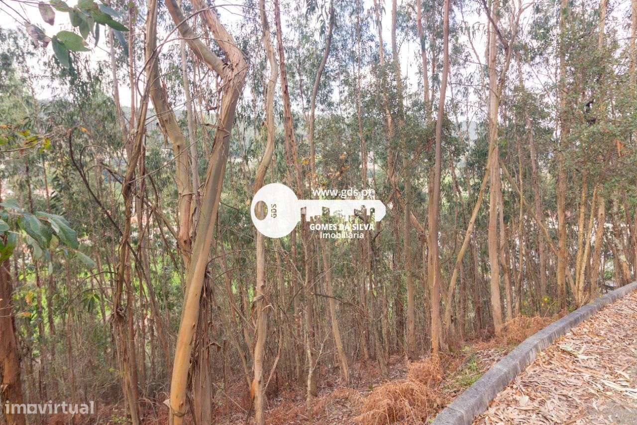 Terreno Rústico à Venda – 6.600m² | Naia, Morreira, Braga-2