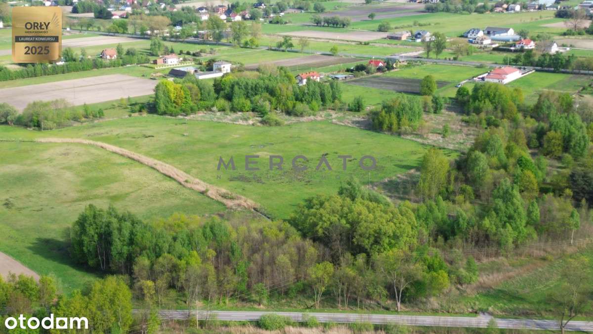 Teren Z Pnb, Węzeł Radzymin-Północ-2