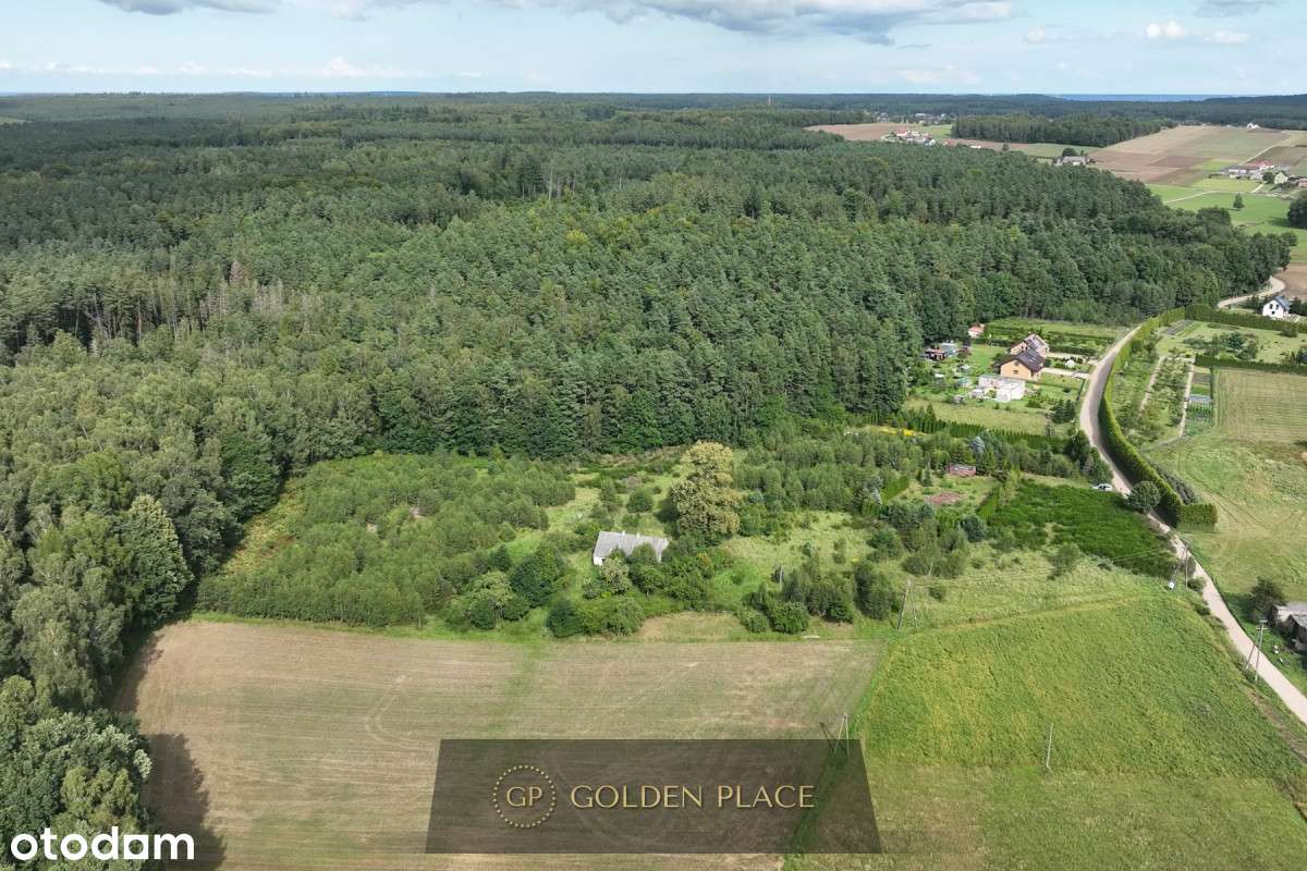 Ostatnia działka - Pełny obrazek: 3/20