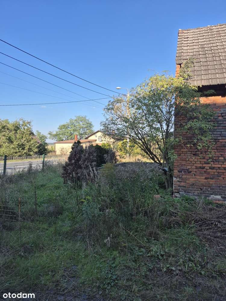 Duża działka z budynkami gosp. - Pełny obrazek: 4/8