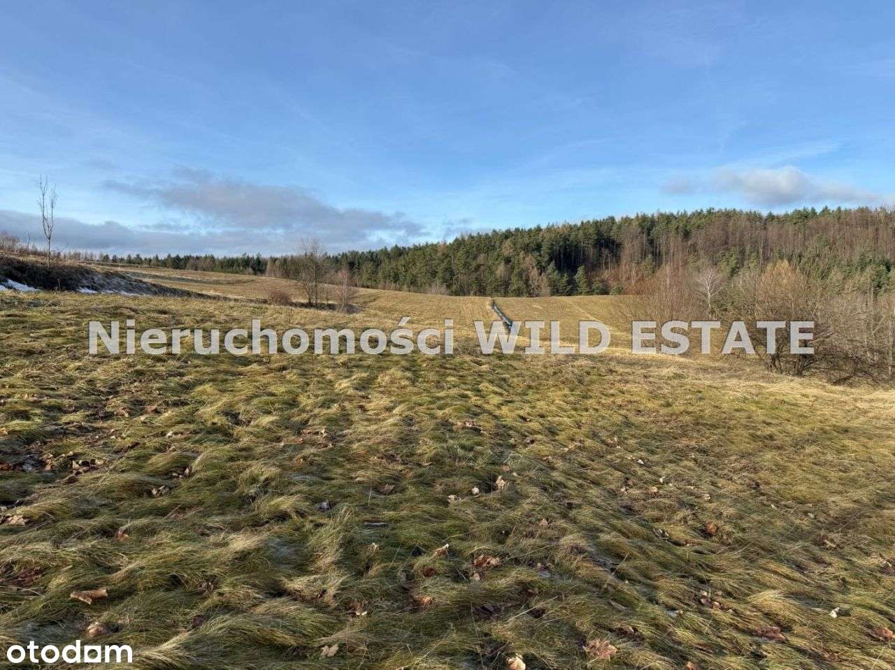 Działka, 3 402 m², Berezka-7