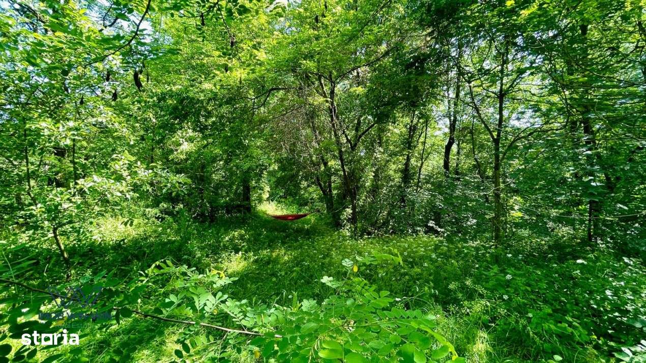 Casa Vacanta Babana!-6