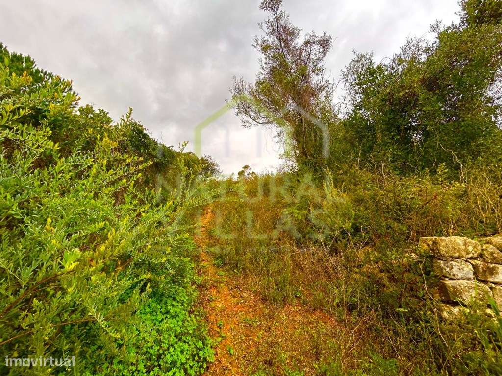 Terreno Rústico em Alcaria Branca, Estoi - Grande imagem: 3/7