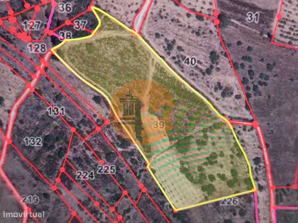 TERRENO COM 28.080 M2 - PLANO - COM POSSIBILIDADE DE CONSTRUIR ARMA... - Grande imagem: 2/31