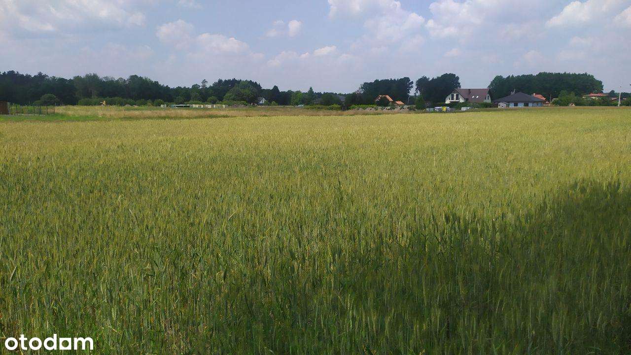 Działka blisko lasu. Luźna zabudowa-2