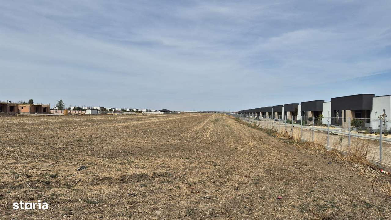 Teren intravilan 16.248 mp - Domnesti - Imagine principală: 1/5