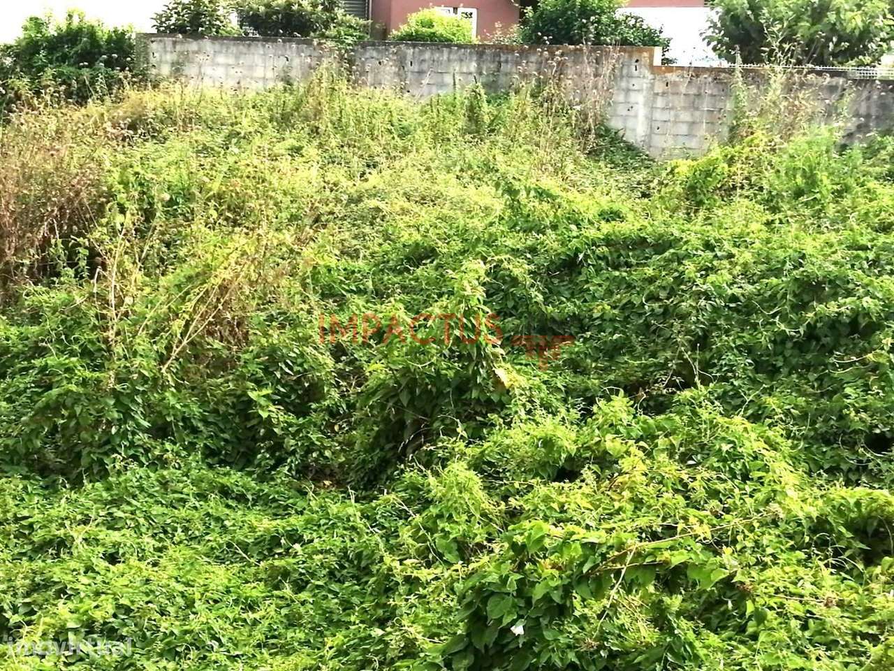 Terreno com viabilidade de construção em altura - Grande imagem: 3/10