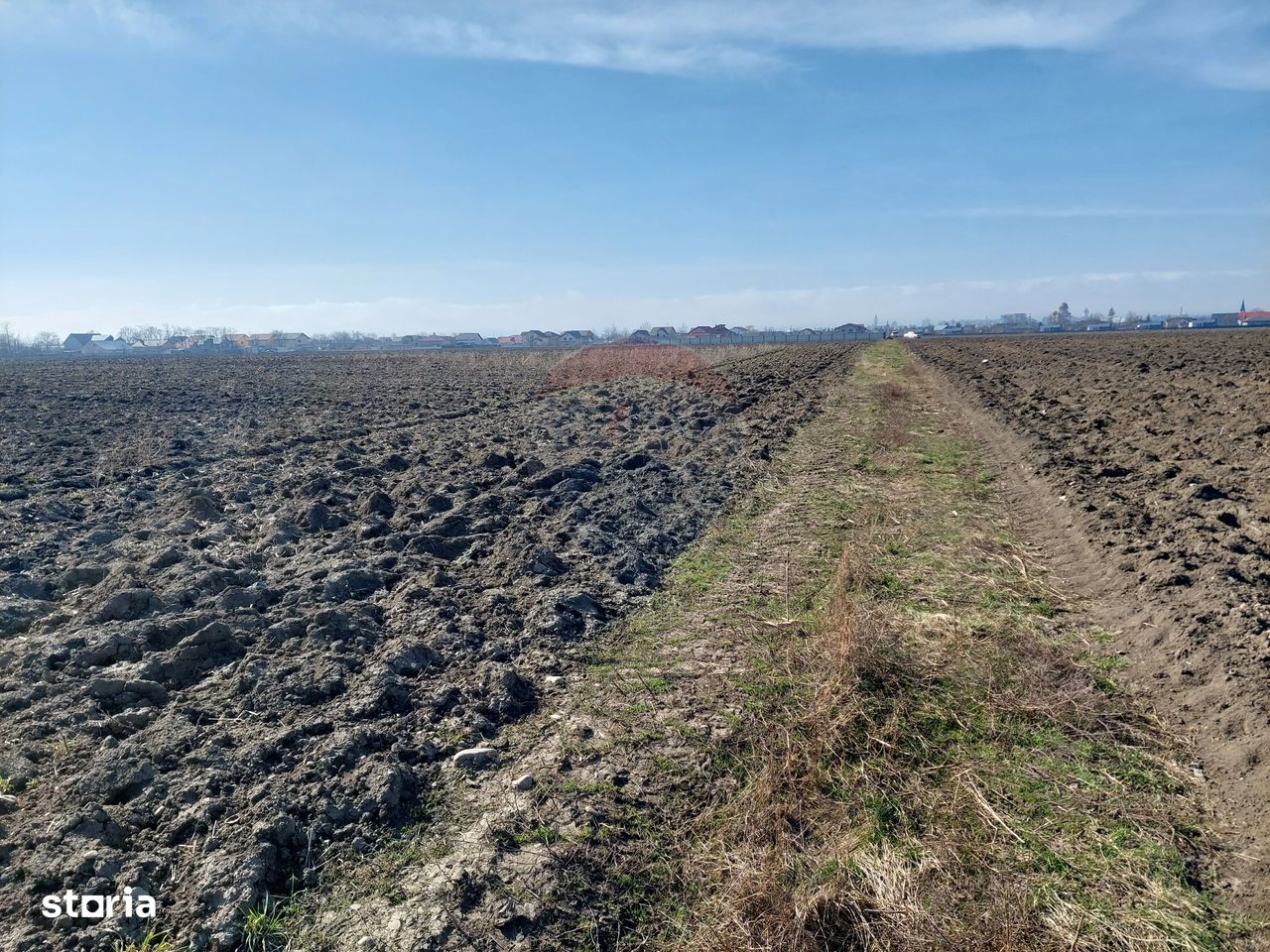 Loturi de casa in Bacau - Calea Barladului