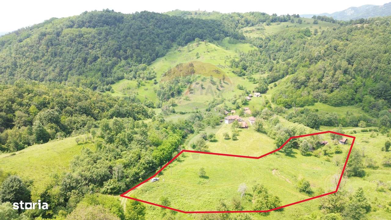 Teren intravilan de vis în Munții Apuseni, curent + izvor – 13.811 mp - Imagine principală: 2/18