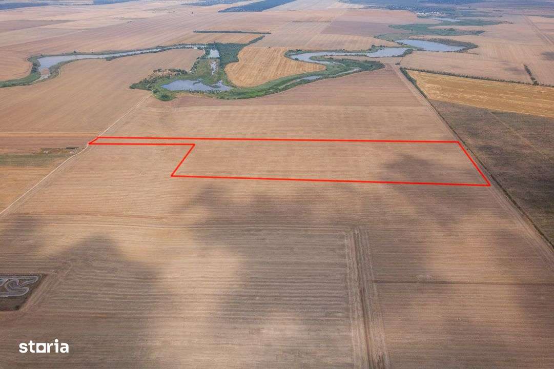 FRUMUSANI - PASAREA, TEREN 14420 MP, FRONT 40 M! - Imagine principală: 5/12