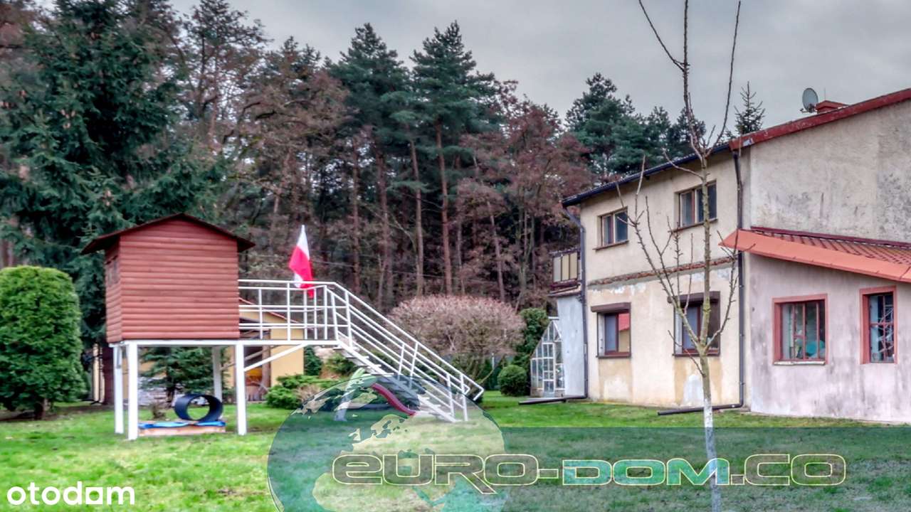 Na sprzedaż dom wolnostojący o dużym potencjale – Poznań, ul. Głuszyna - Pełny obrazek: 3/20