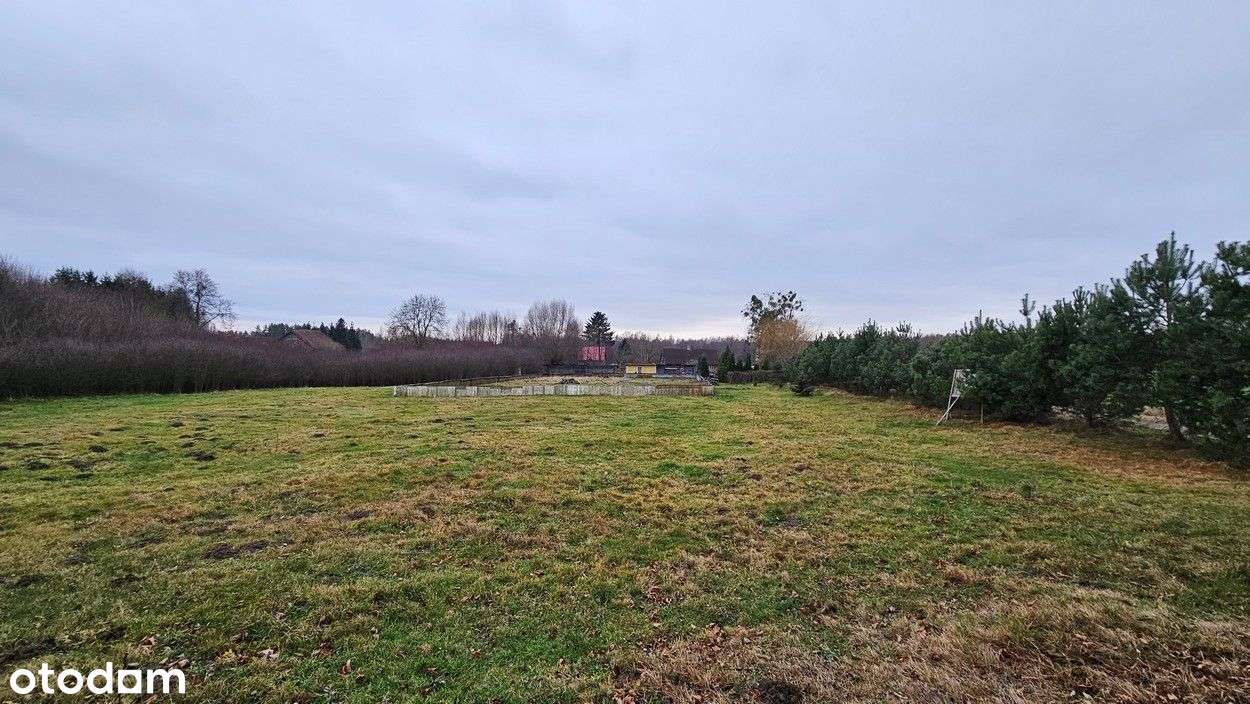 Działka budowlana Borzynowo, gmina Pasłęk - Pełny obrazek: 5/15