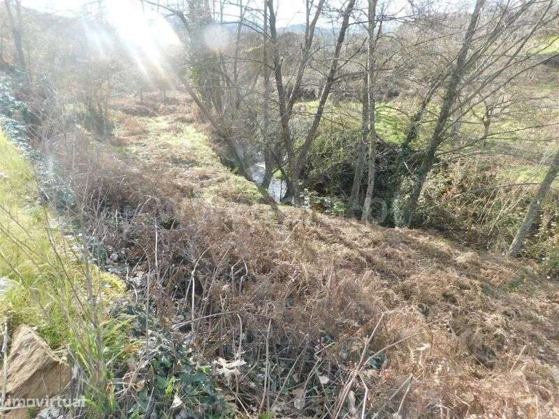 Terreno / Fundão, Souto da Casa - Grande imagem: 3/8
