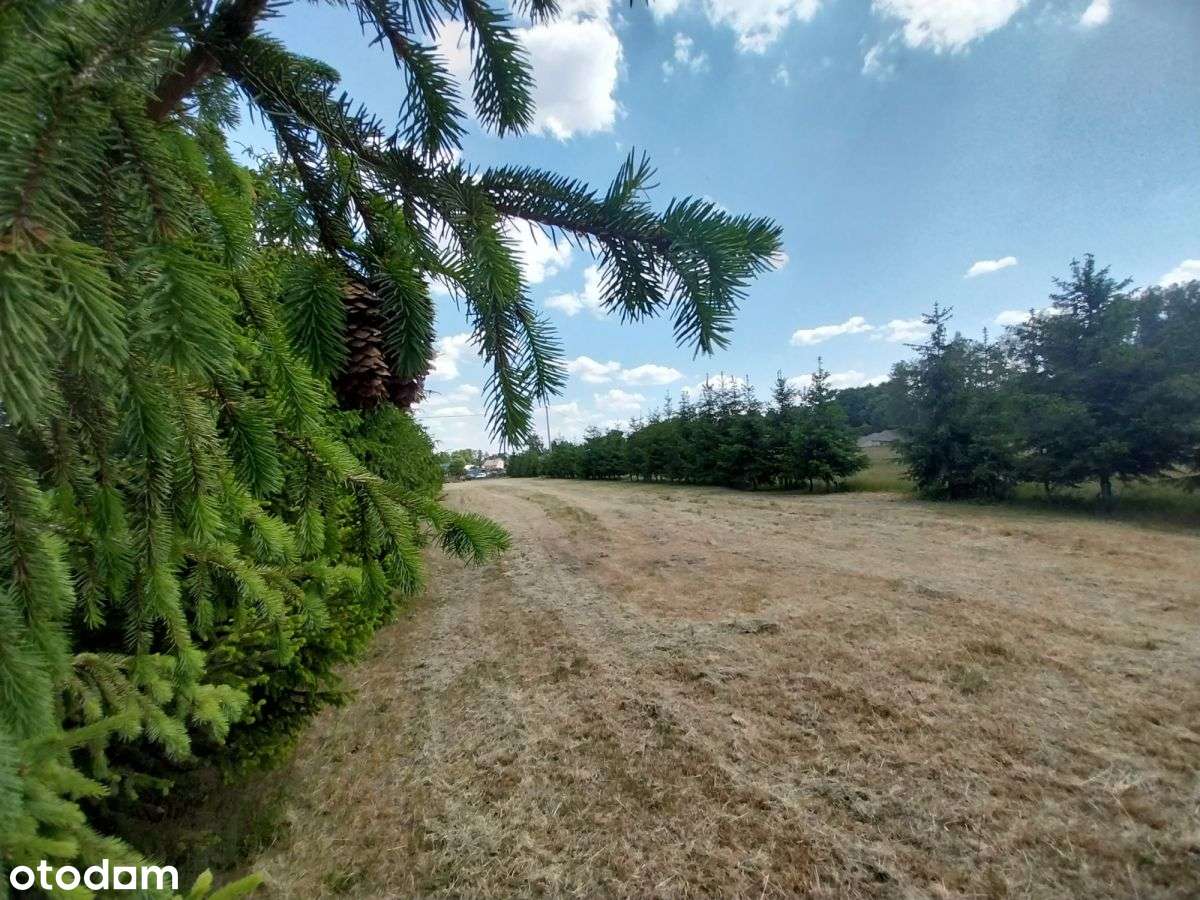 Działka budowlana Dobry Las nad rzeką  Łomża 24 km - Pełny obrazek: 4/7