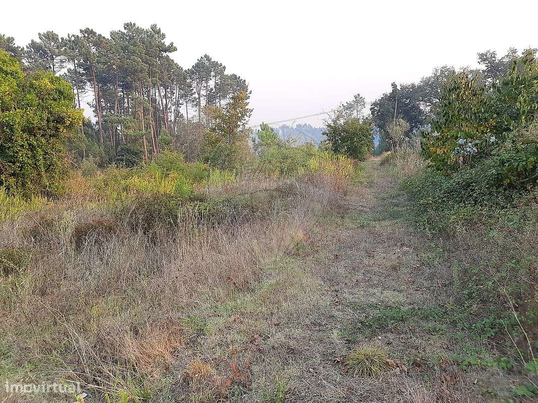 Terreno  para venda - Grande imagem: 3/7