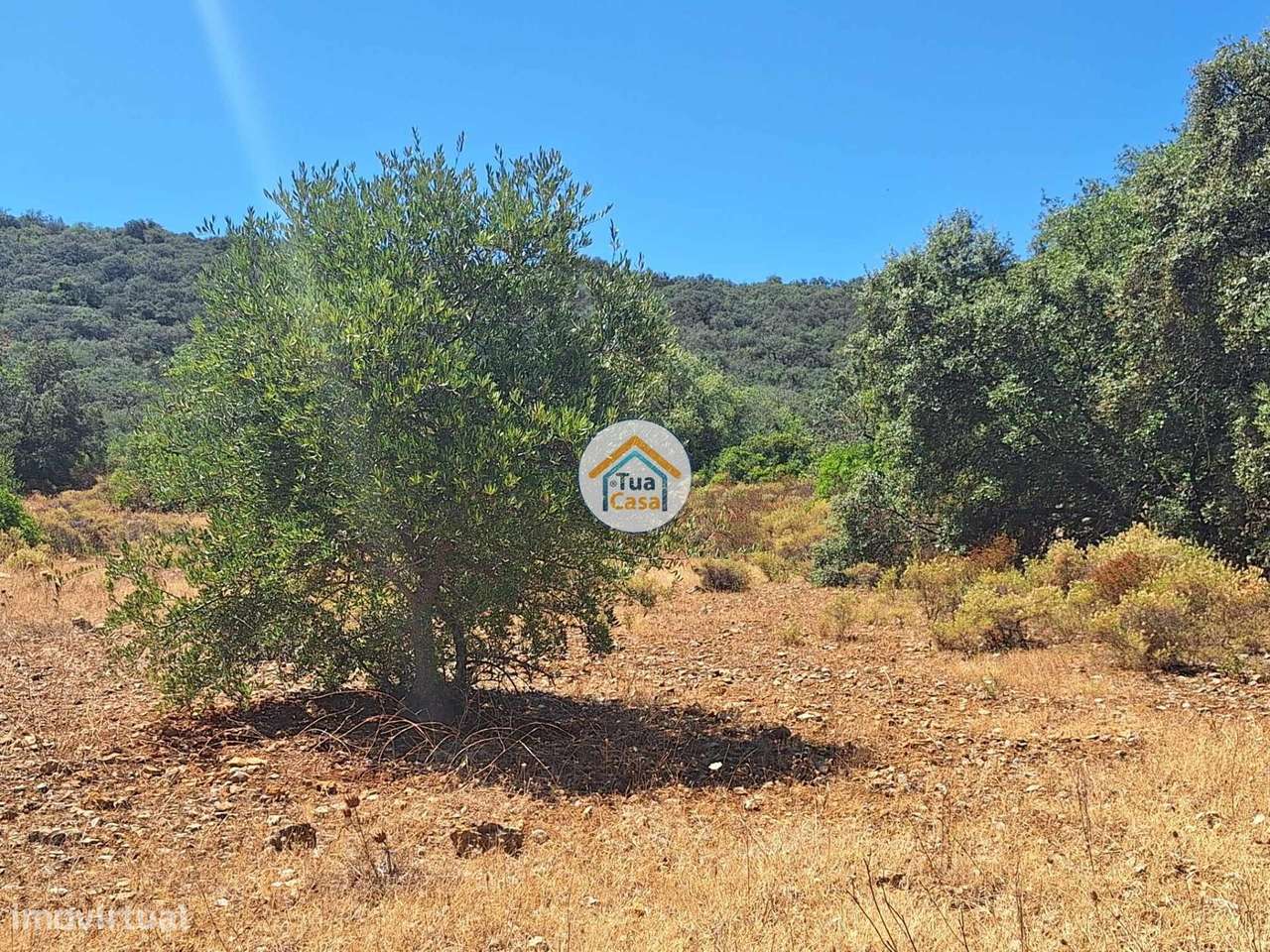 Terreno Rústico nos Arredores de São Brás de Alportel - Grande imagem: 3/15