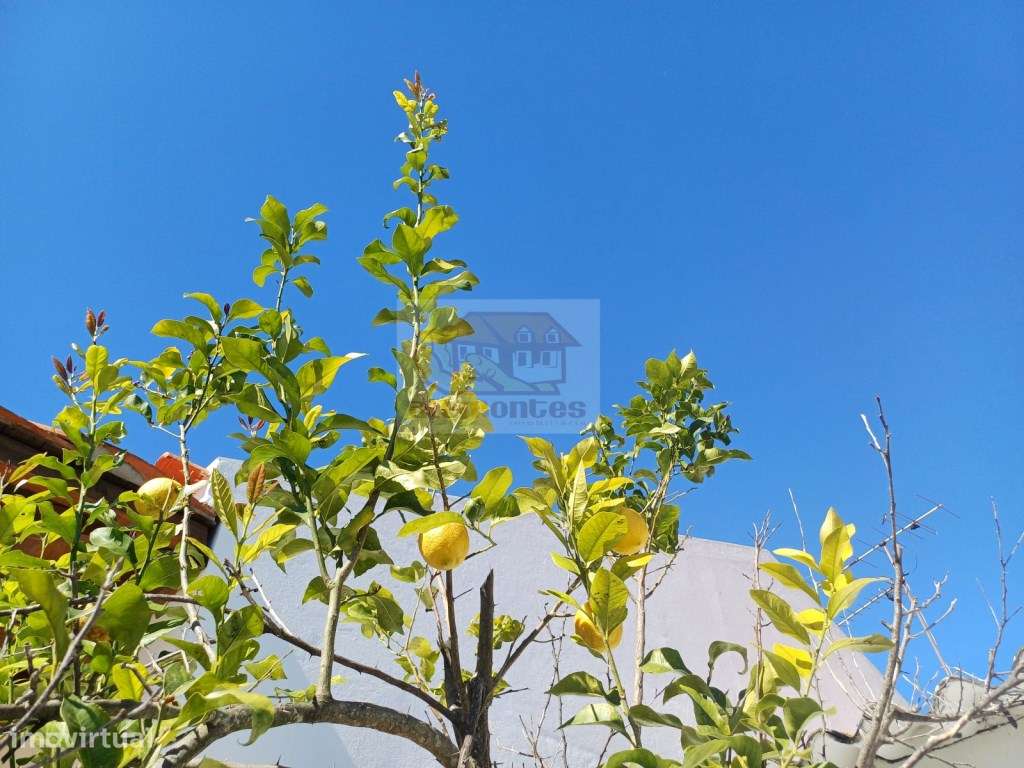 Casa Oliveira - PROJECTO APROVADO E PRONTO A CONSTRUIR-16