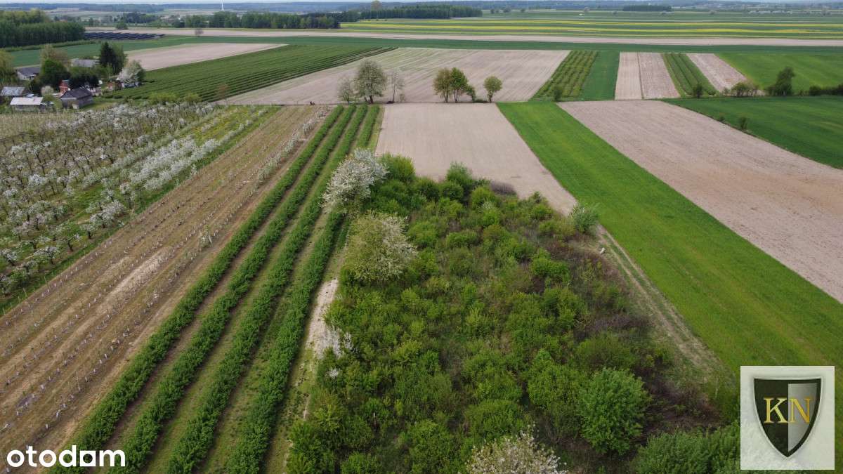 Siedlisko z zabudowaniami-14