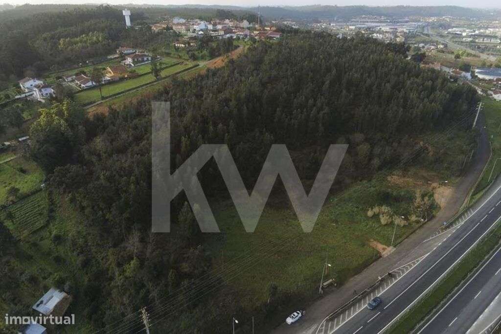 Grande terreno para construção com mais de 18000m2  | Ribeira de Frade - Grande imagem: 3/21