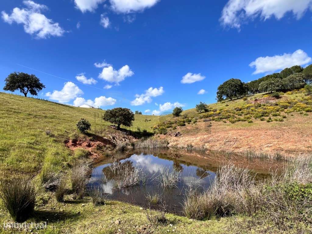 QUINTA T4, SERPA com uma vista fantástica , com duas barragens ... - Grande imagem: 5/60