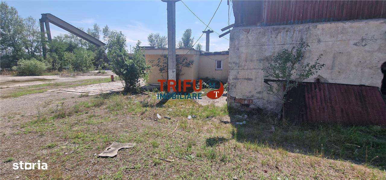 Teren cu hala de vanzare, zona Barabat - Imagine principală: 5/5