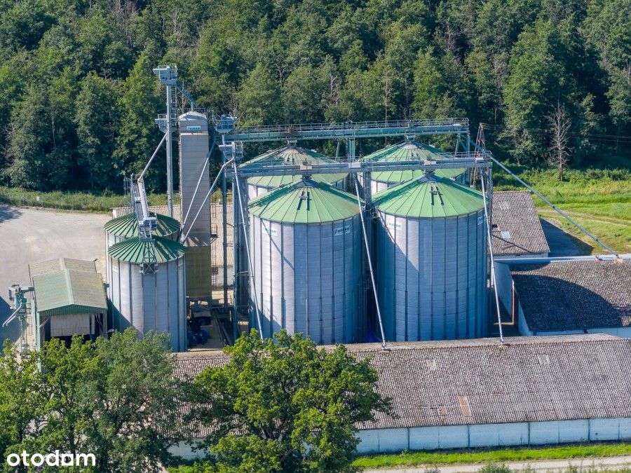 Lokal użytkowy, 26 472 m², Baszewice - Pełny obrazek: 4/15