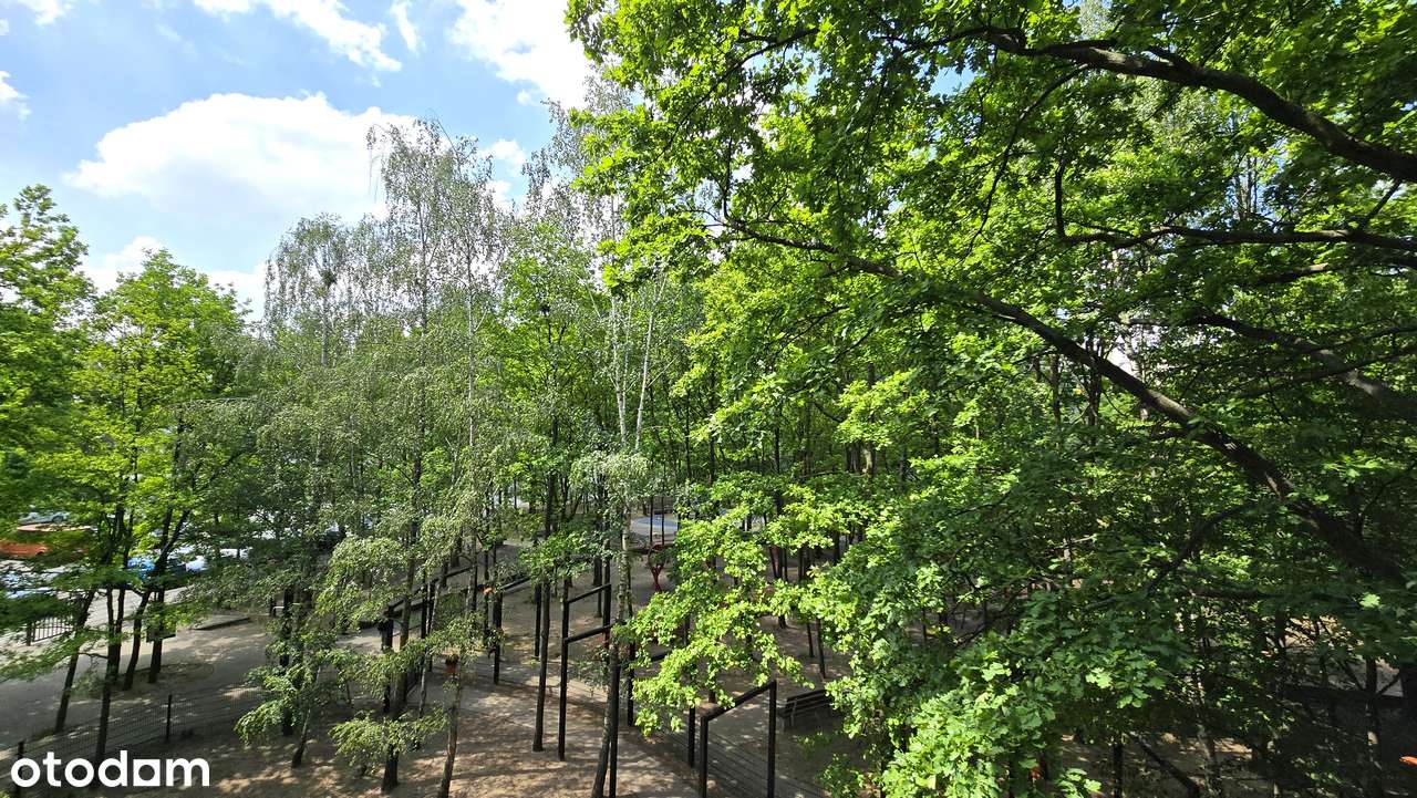 Piękne mieszkanie z widokiem na park / możliwy 4 pokój-16