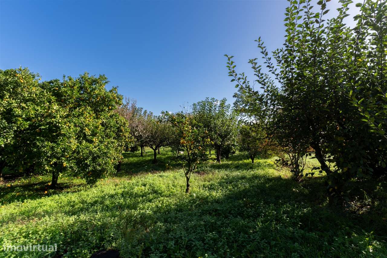 Moradia Isolada T2 Venda em Lobão, Gião, Louredo e Guisande,Santa Mari-33