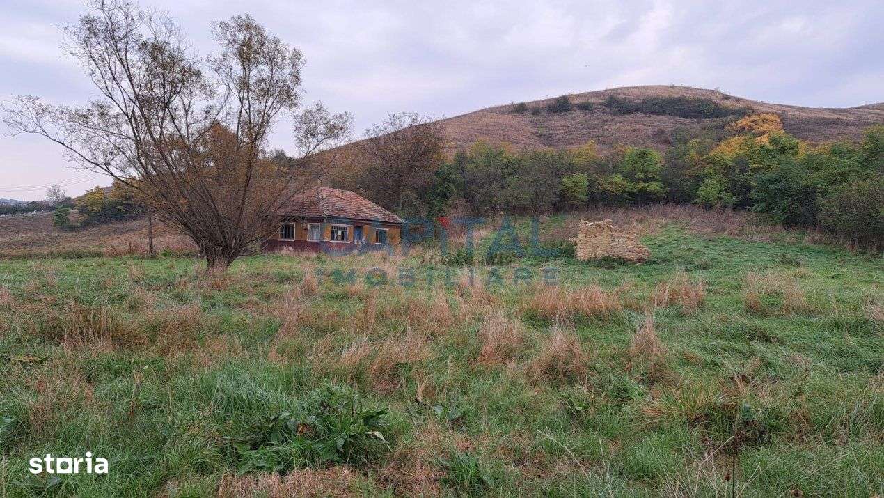 Teren plan 4800 mp cu casa demolabila, centru Corpadea, Apahida - Imagine principală: 4/10