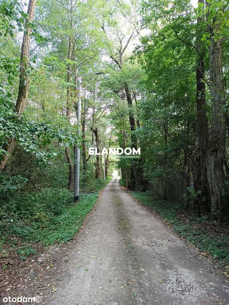 Działka rolno budowlana Lipowo - Pełny obrazek: 4/4