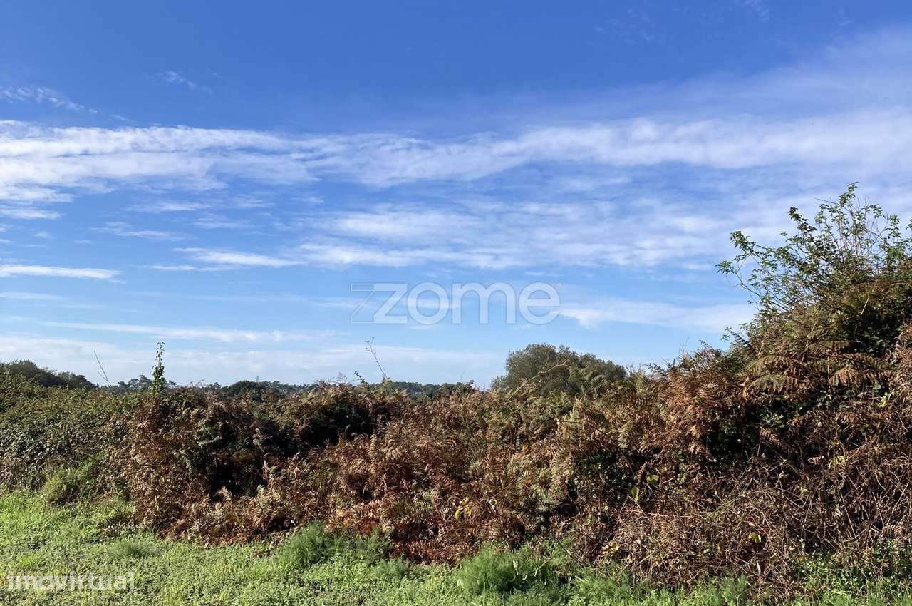 Terreno Rústico em Belinho e Mar - Grande imagem: 4/18
