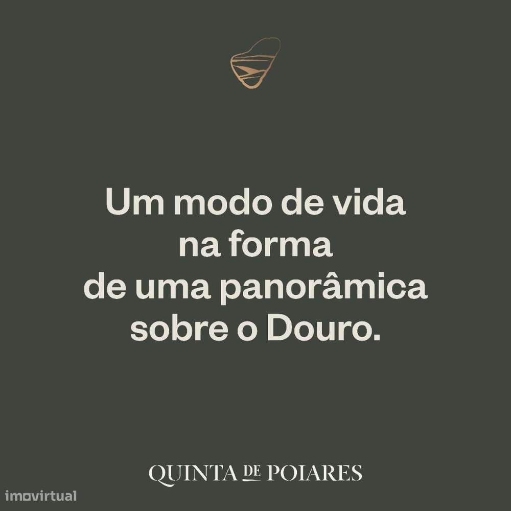 QUINTA DE POIARES (Encostas Rio Douro) - LOTES P/ CONSTRUÇÃO-10