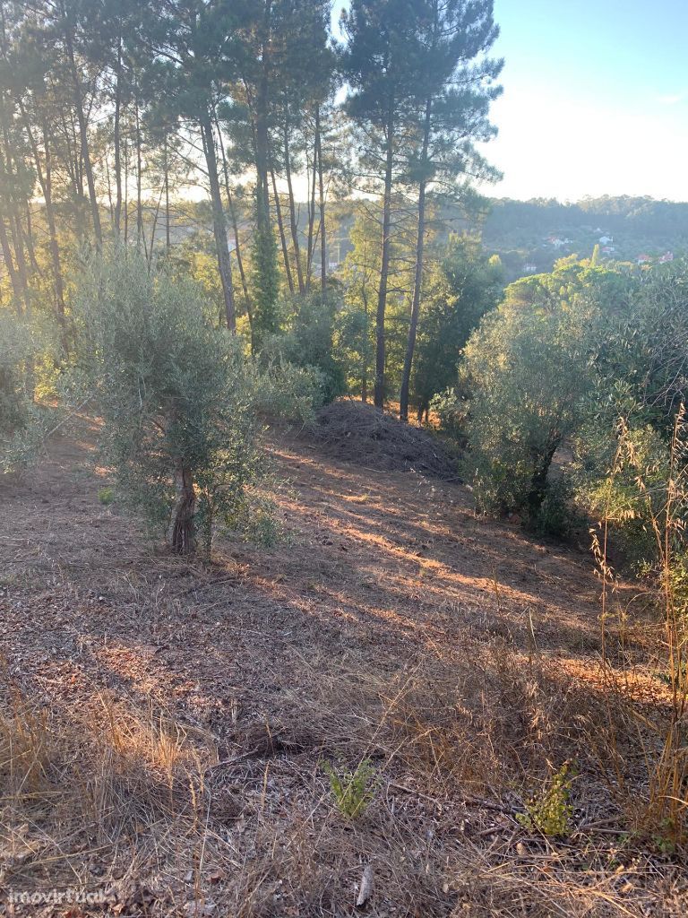 Terreno, 3 500 m², Nossa Senhora da Piedade