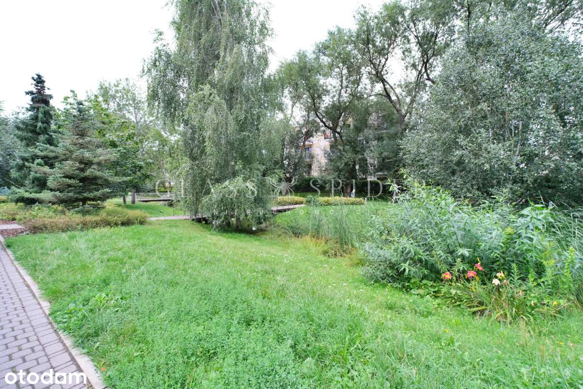 ⚡Ostoja Wilanów⚡Ogródek⚡Działalność⚡ - Pełny obrazek: 3/14