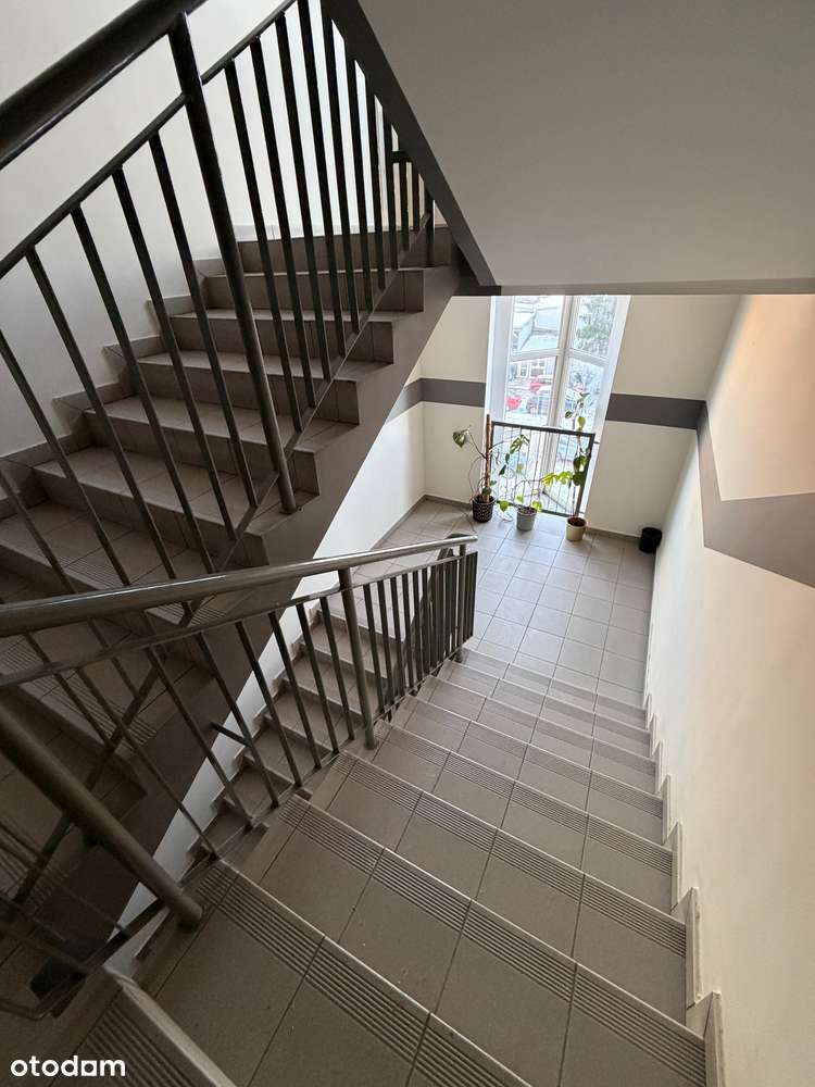 Przestronny,wyremontowany apartament w sercu Jeżyc,2 miejsca postojowe-14