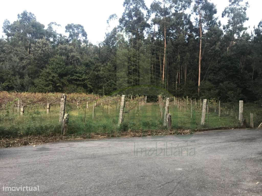 Terreno para construção em Ganfei - Grande imagem: 4/5