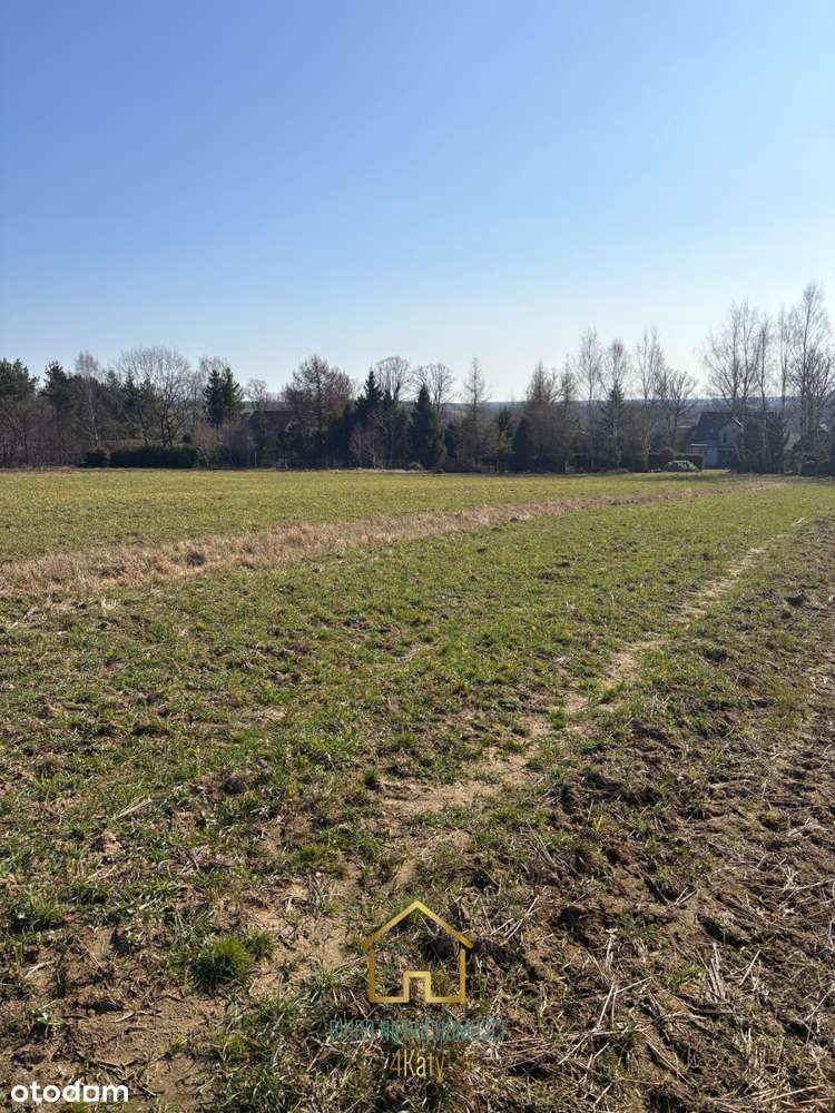 Promocja!!  Działki rolne z Mpzp 3121 m2 Perlino-6