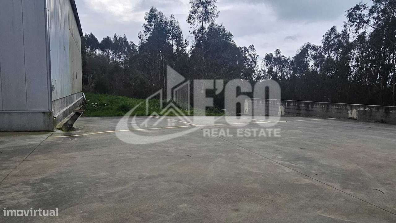 ARMAZEM  INDUSTRIAL PARA ARRENDAMENTO STA MARIA DA FEIRA - Grande imagem: 5/30