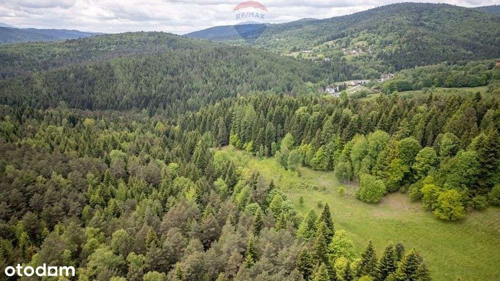 Działka rolna w Krzeszowie - Pełny obrazek: 5/7