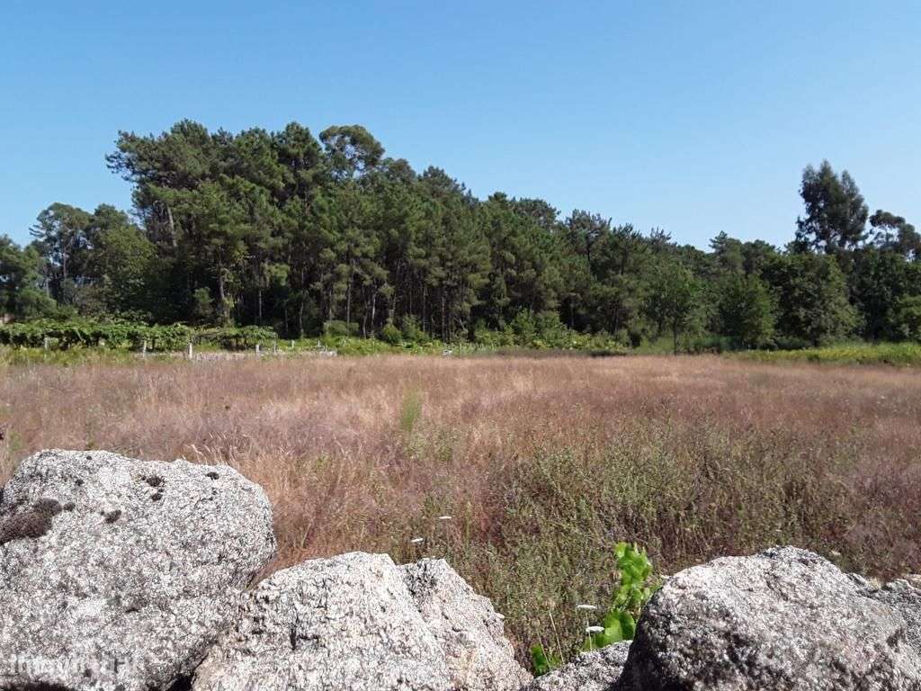 Grande Terreno para Construção - Forjães - Grande imagem: 2/7