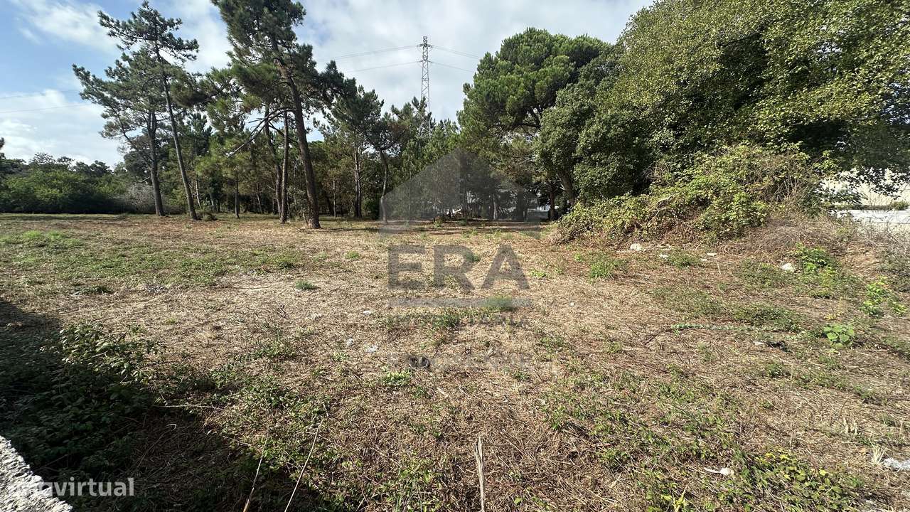 Terreno para Investimento em Fão – 6.298 m² - Grande imagem: 4/10
